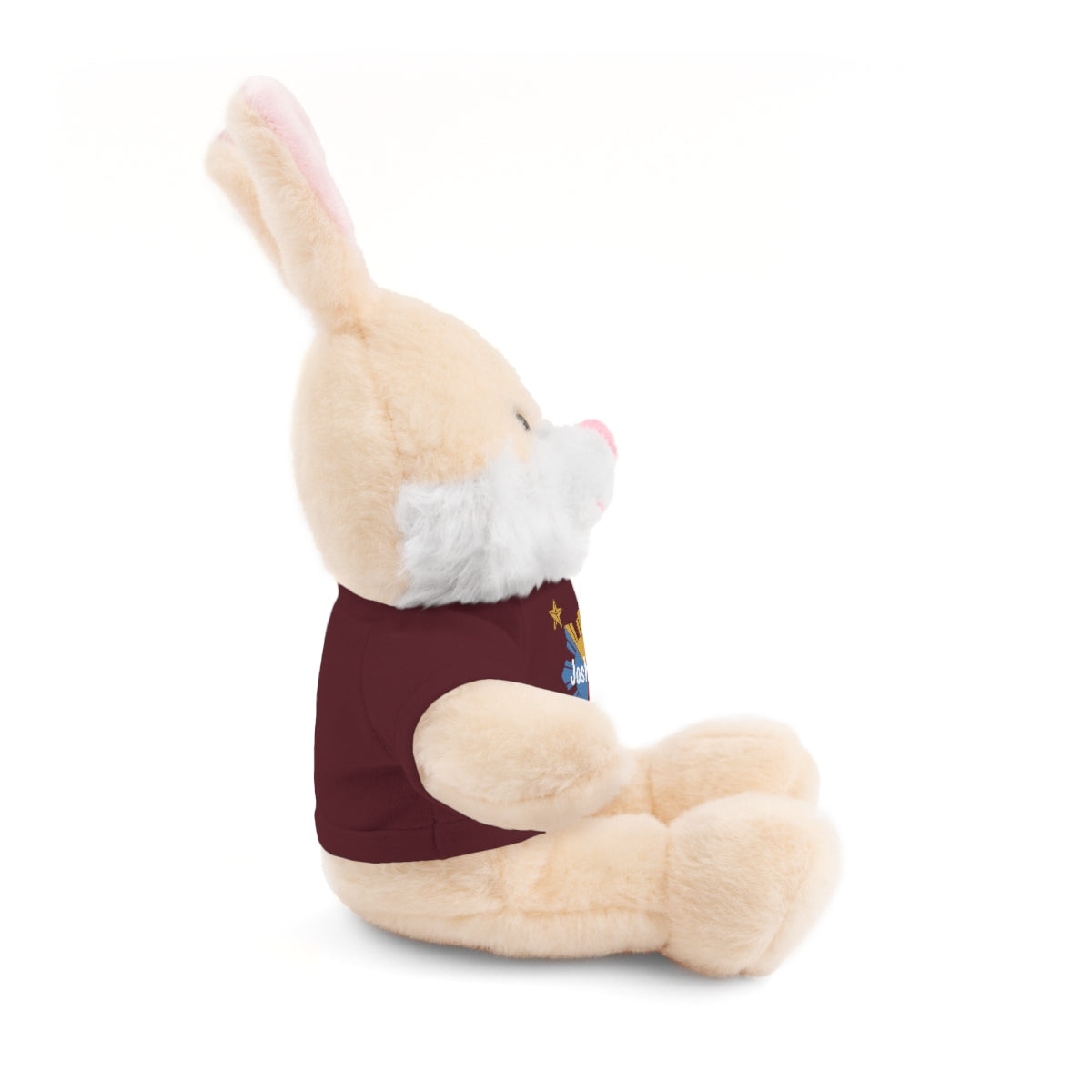 Personalized Filipino Stuffed Animal Toy with Tee | Philippine Star and Sun | Gift for kids and adults | Holiday Gifting idea